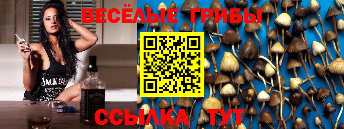 Галлюциногенные грибы Cubensis Похвистнево
