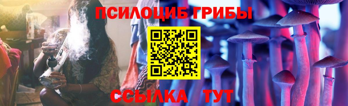 Похвистнево  Псилоцибиновые грибы Cubensis  Вход с VPN 